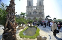 Une "vraie" oasis, avec des palmiers, de (petites) dunes de sable et un point d'eau, a été installée mercredi 4 mai sur le parvis de Notre-Dame de Paris à l'occasion de la manifestation "La palme de la liberté" par l'Aide à l'Eglise en détresse (AED) pour défendre la liberté religieuse dans le monde.