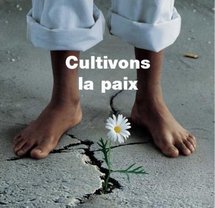 Redécouvrons le bonheur dans la solidarité.