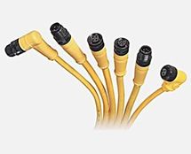 Bongrain.com Bongrain.com