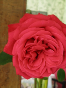 Toussaint : la lumière et la certitude de l'amour vainqueur (ps 18) Toussaint : la lumière et la certitude de l'amour vainqueur (ps 18)