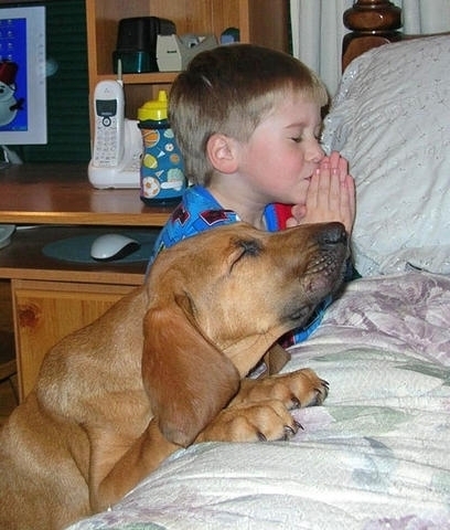 Prier le Père ne diminue pas mais grandit le Fils, Luc 11, 5-8 Prier le Père ne diminue pas mais grandit le Fils, Luc 11, 5-8