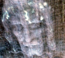 "Cherchez ma face", et non des choses de peu de prix (Ps 26) "Cherchez ma face", et non des choses de peu de prix (Ps 26)