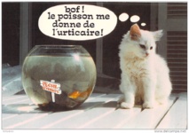 L'allergie peut vous rendre missionnaire ! L'allergie peut vous rendre missionnaire !