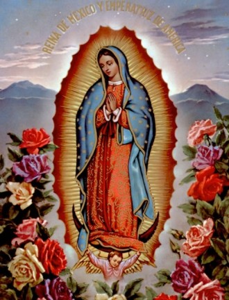 Notre Dame de Guadalupe, Amérique du Sud