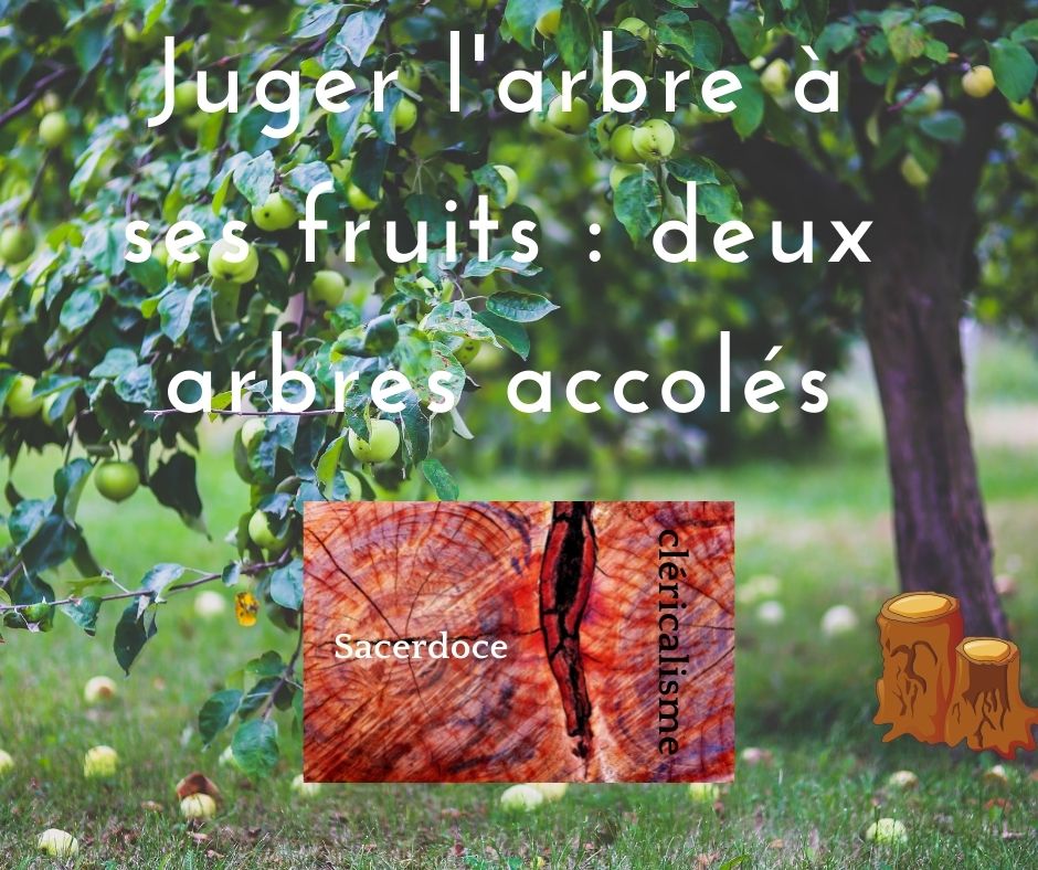 Cléricalisme et sacerdoce : juger l'arbre à ses fruits et distinguer deux arbres distincts accolés Cléricalisme et sacerdoce : juger l'arbre à ses fruits et distinguer deux arbres distincts accolés