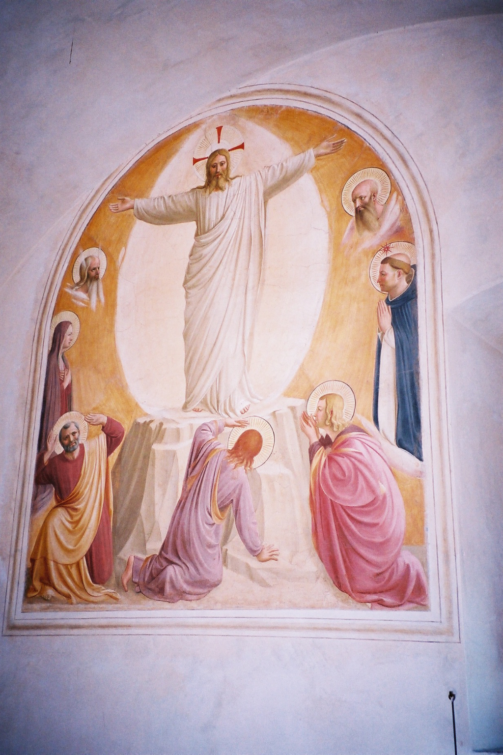 Méditer sur la Paix avec le psaume 1 Méditer sur la Paix avec le psaume 1