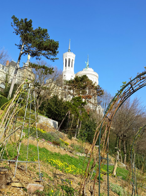 Jardins du Rosaire, Lyon