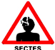 Spirituel et psychologie : au secours, je ne veux pas décompenser!