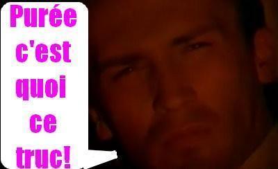 David Vincent les a vus ! David Vincent les a vus !