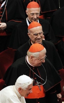 Les cardinaux sont-ils unis autour du Pape ? Le point de vue des vaticanistes mis en question. Les cardinaux sont-ils unis autour du Pape ? Le point de vue des vaticanistes mis en question.