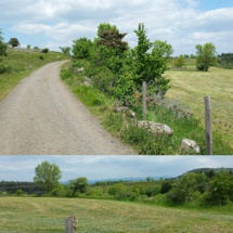 Peut-on coacher une vocation en "deep coaching"? Peut-on coacher une vocation en "deep coaching"?