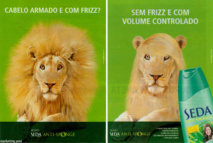 Foi, tensio-actifs et écologie ( presque) intégrale. Foi, tensio-actifs et écologie ( presque) intégrale.